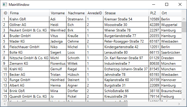 DataGrid mit allen Kundendaten