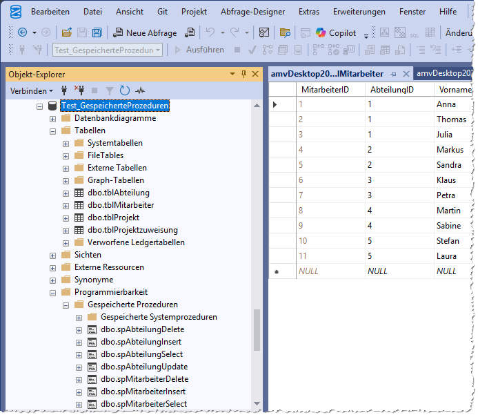 Die SQL Server-Datenbank mit den angelegten Objekten