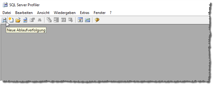 Der Profiler nach dem Start der Anwendung