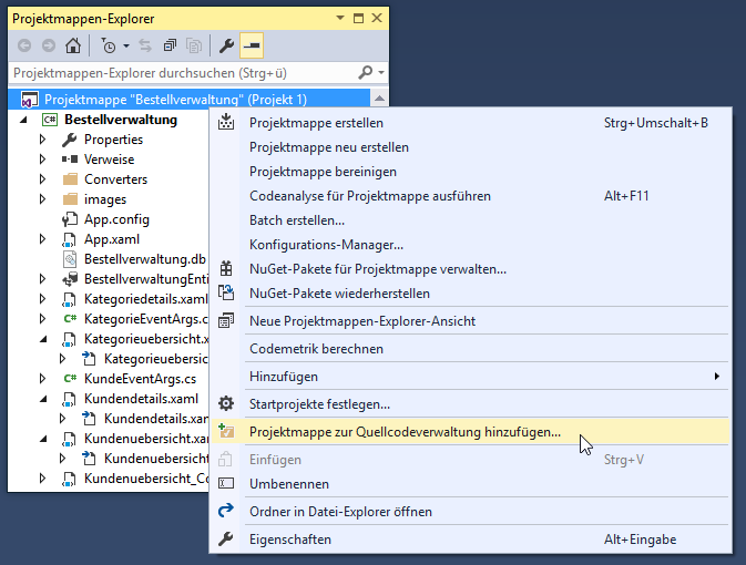 Hinzufügen der Projektmappe zu einer Quellcodeverwaltung