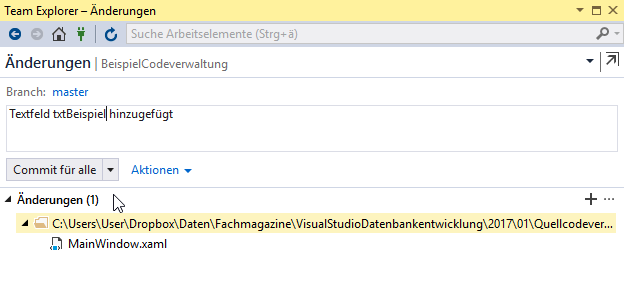 Angaben vor dem Commit