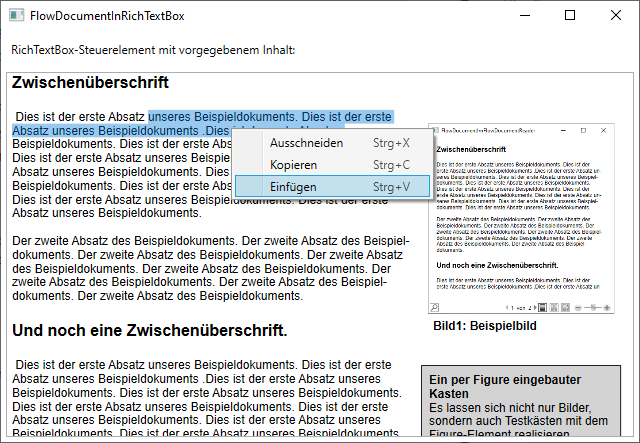 RichTextBox-Element mit formatiertem Text, der sich aber nicht formatieren lässt