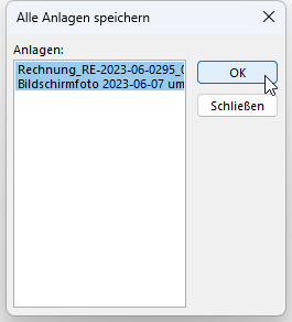 Dialog zur Auswahl, welche Attachments gespeichert werden sollen