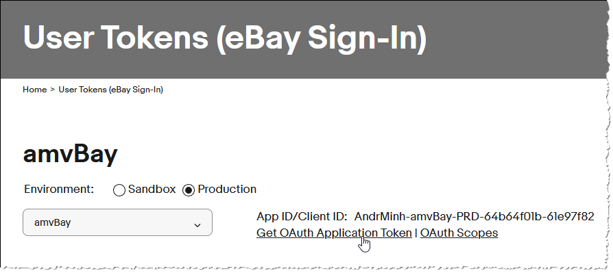 Ermitteln des Anwendungstokens