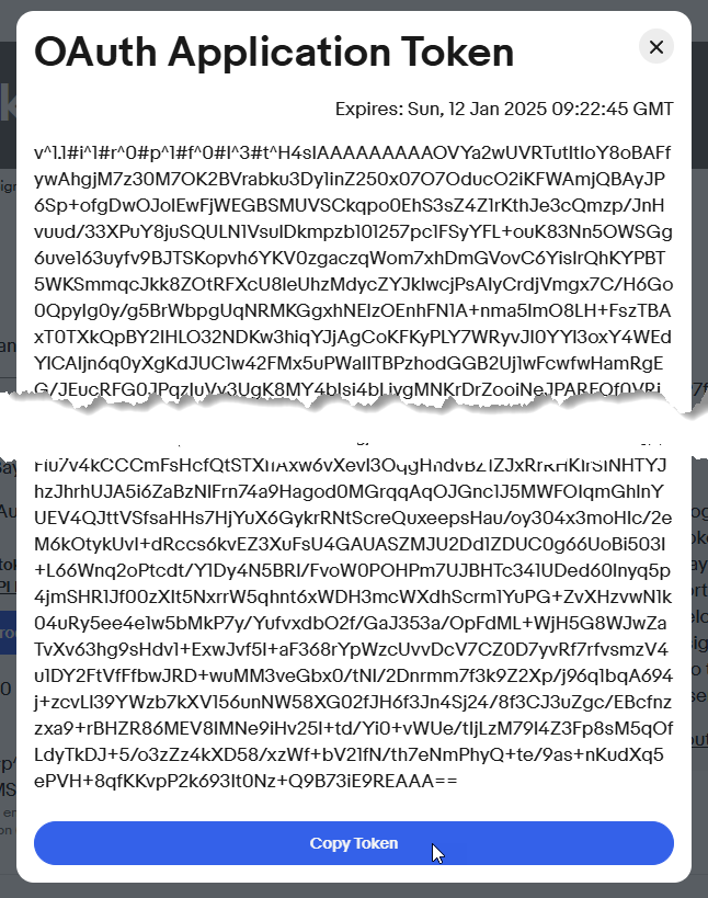 Kopieren des Anwendungstokens