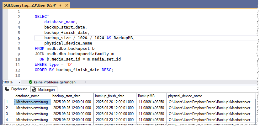 Der frisch eingefügte Schnipsel mit dem gewünschten Abfrageergebnis.